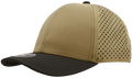 Premium Zapped Brand Patch hats